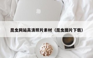 石河子昆虫网站高清照片素材（昆虫图片下载）